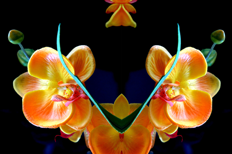 Illustration for article titled 10 Vivid Rorschach Tests, Made By Camera